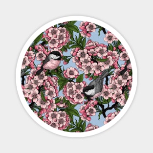 Cherry blossom and chickadees on sky blue Magnet